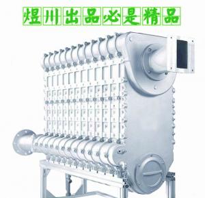 燃?xì)忮仩t爐芯